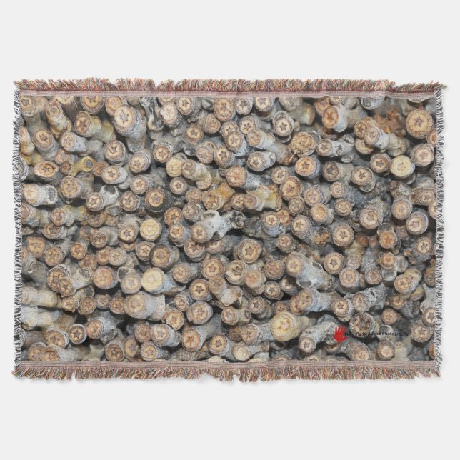 Manta Estrelas ao longo do Rio Grande Cotton Wood Trees  (Frente)