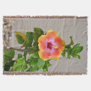 Manta Flor de Hibisco, cor-de-rosa-laranja, lança-se