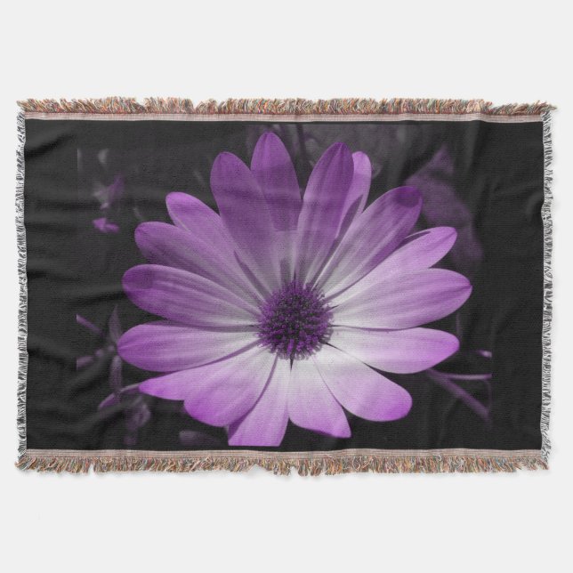 Manta Flor de margarida púrpura (Frente)