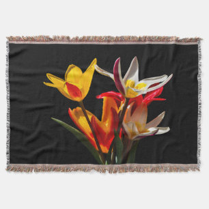Manta Flores da tulipa contra o fundo preto