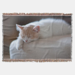 Manta Gatinho bege e branco cansado
