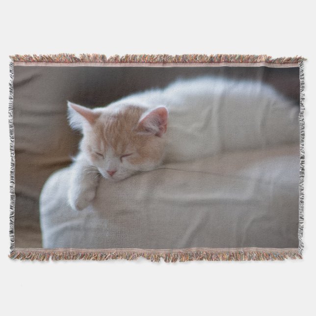 Manta Gatinho bege e branco cansado (Frente)