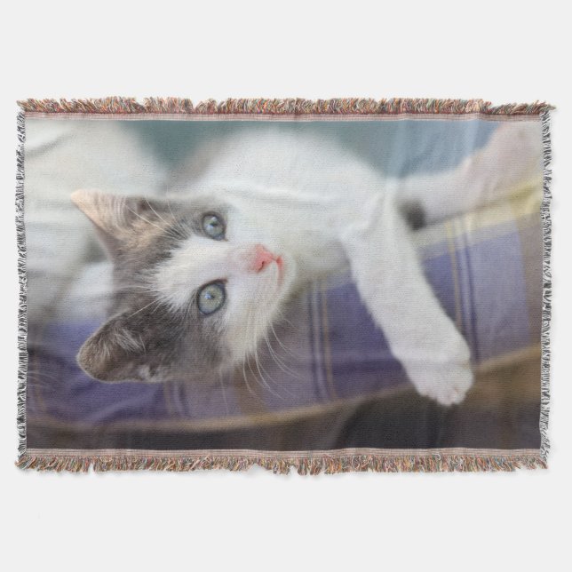 Manta Gatinho doce na cama da xadrez (Frente)