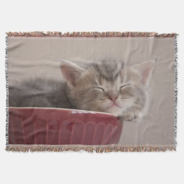 Manta Gatinho que dorme em uma bacia (Frente)