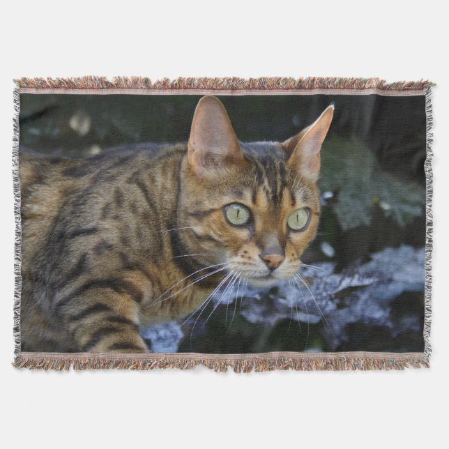 Manta Gato Bengala Gasto (Frente)