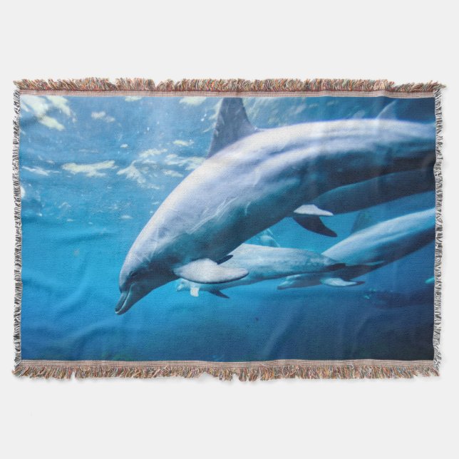Manta Golfinhos subaquáticos (Frente)