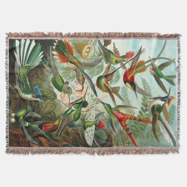 Manta Gorgeous Ernst Haeckel Hummingbird (Frente)
