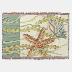 Manta Grupo de Shell Multicolores