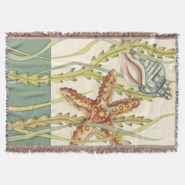 Manta Grupo de Shell Multicolores (Frente)