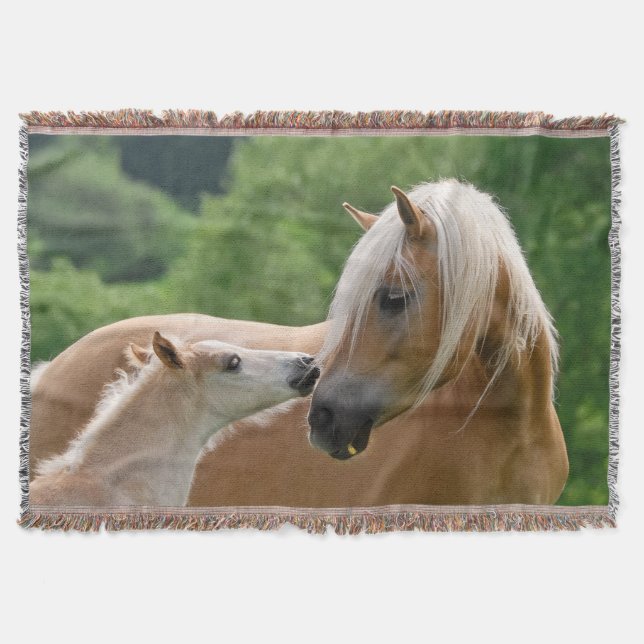 Manta Haflinger Horses, Pau De Pau, Penteado, Mole (Frente)