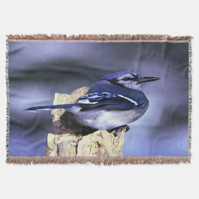 Manta Jay Azul bonito (Frente)