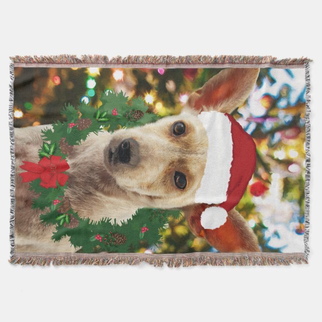 Manta Joy para o Puppy (Frente)