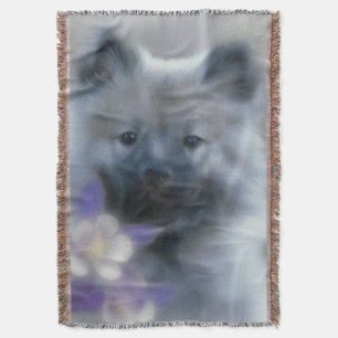 Manta Keeshond e Columbine - Fotografia de Cães