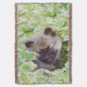 Manta Keeshond Puppy na Pintura Original