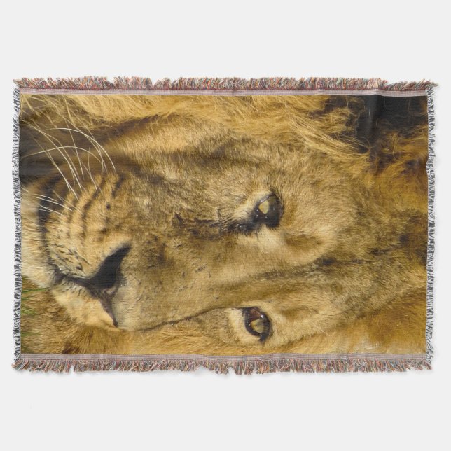 Manta Lion Face Wildlife Cat Animal Throw Blanket (Frente)