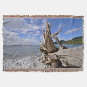 Manta Madeira lançada costa na linha costeira de praia