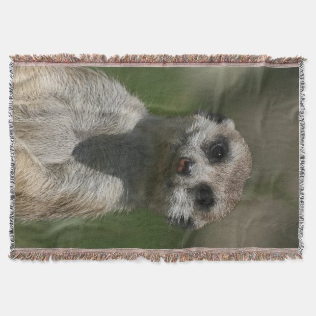 Manta Meerkat 004 (Frente)