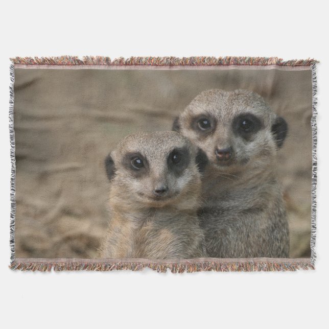 Manta Meerkat 090 (Frente)