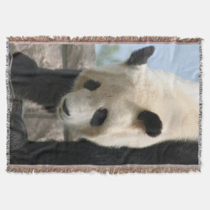 Manta Panda20170506_by_JAMFoto