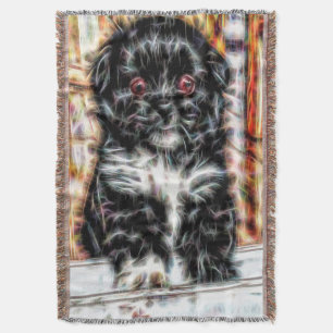Manta Pekingese Puppy