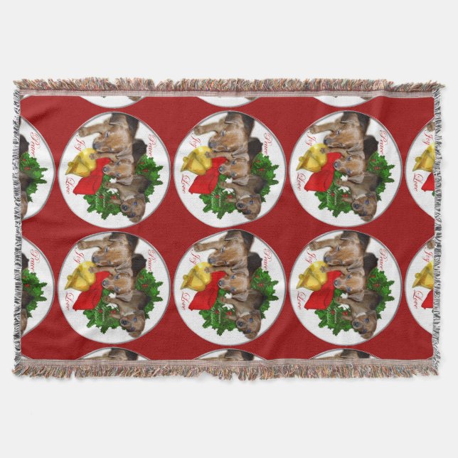 Manta Pinscher Alemão Puppies Natal (Frente)