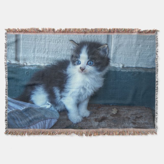 Manta Preto + Gatinho Branco (Frente)
