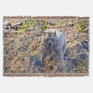 Manta Rare Kermode Bear (Spirit Bear)