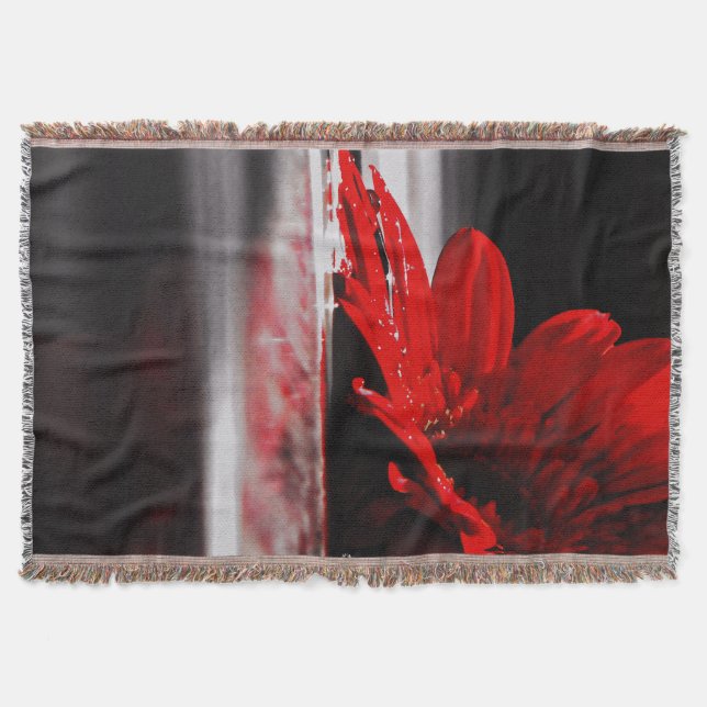 Manta Red Daisy Gerbera Flower (Frente)