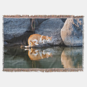 Manta Reflexão Gato na Foto Engraçada em Água Pond -