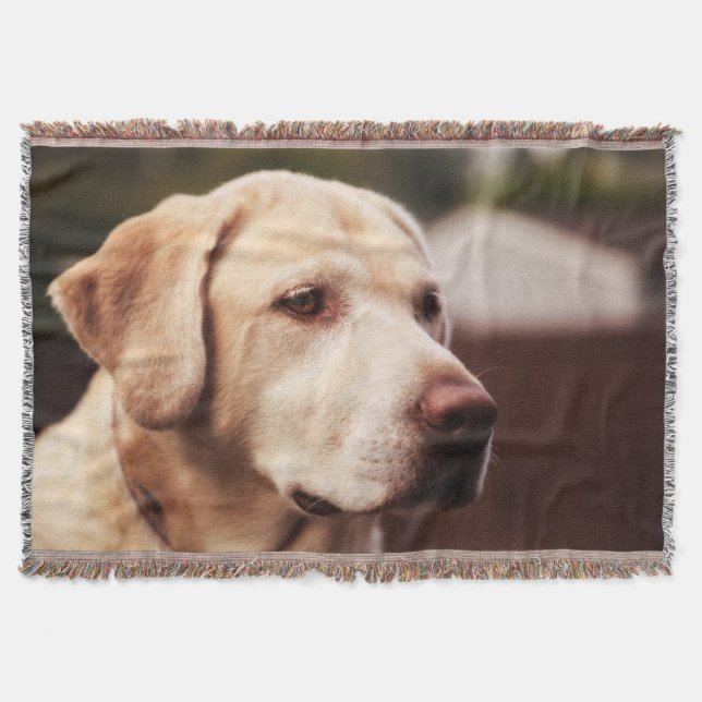 Manta Retriever de Labrador (Frente)