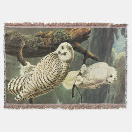 Manta Snowy Owl - Audubon Fine Vintage Birds América