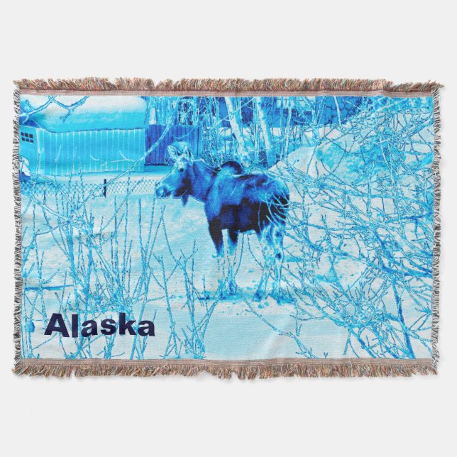 Manta Urban Moose (Frente)