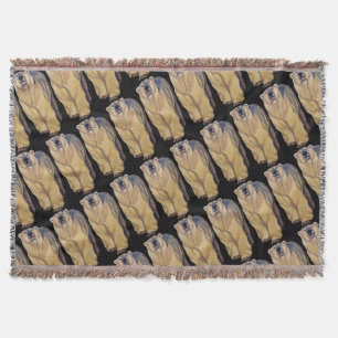 Manta Urso Arte Aberto Pão-Urso Arrasto Polar