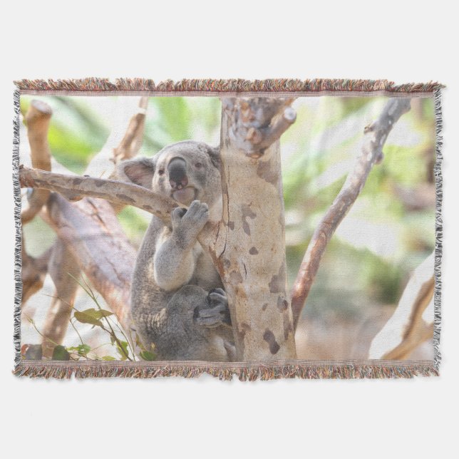 Manta Urso De Koala Numa Árvore (Frente)