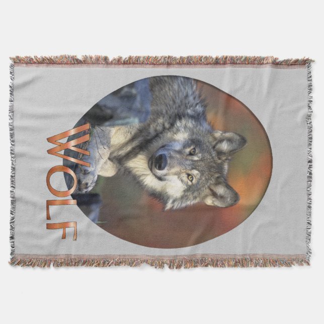 Manta Wolves Cinza Wolf Canis_lupus (Frente)