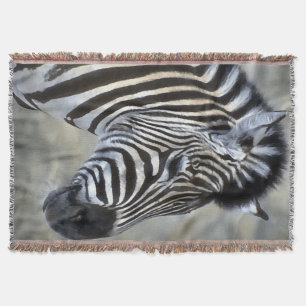 Manta Zebra Lovers Willife Art