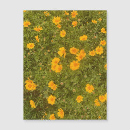 Manteiga Daisy Garden Magnet