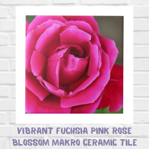 Manteiga-de-flor-rosa-rosa vibrante