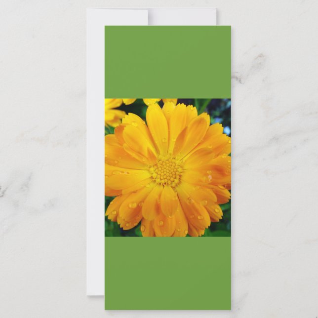 mantenha a calma e leia, marco amarelo da margarid (Frente)