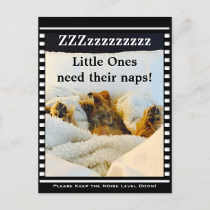 Mantenha o nível de ruído no cartão postal Yorkie