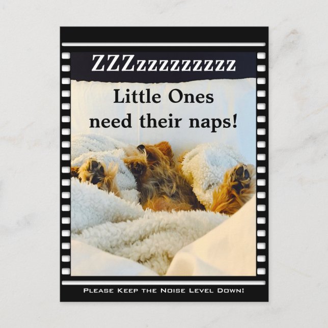 Mantenha o nível de ruído no cartão postal Yorkie (Frente)