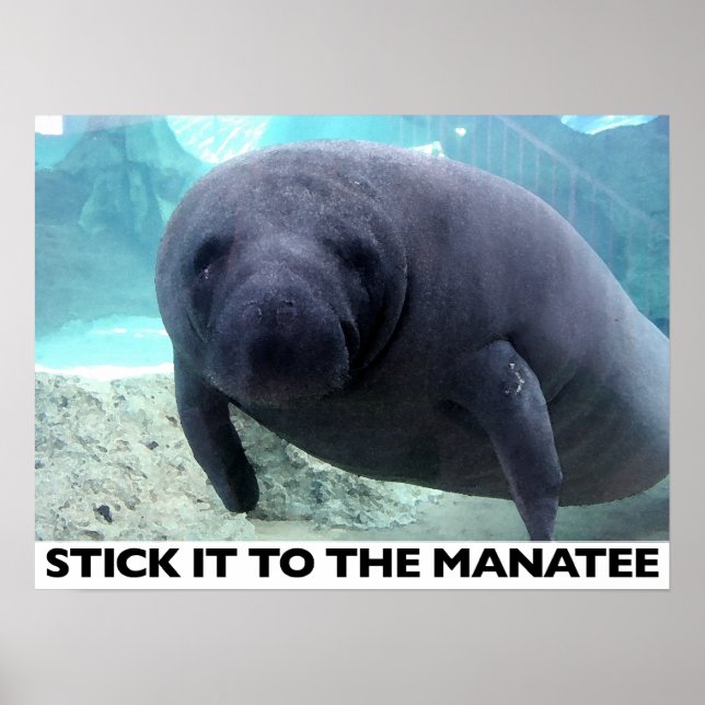 MANTENHA-O NO poster MANATEIRO (Frente)
