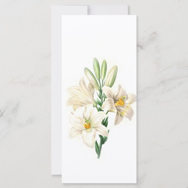 mantenha-se calmo e leia, elegante livrinho branco (Frente)