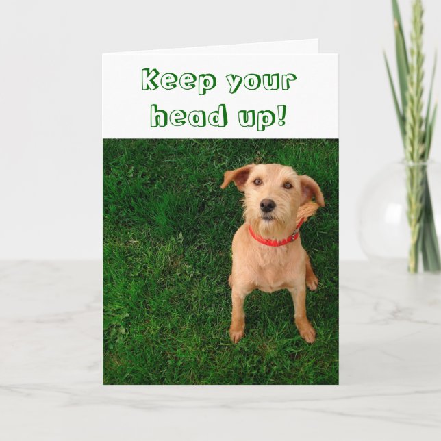 Mantenha sua cabeça acima do cartão (Frente)