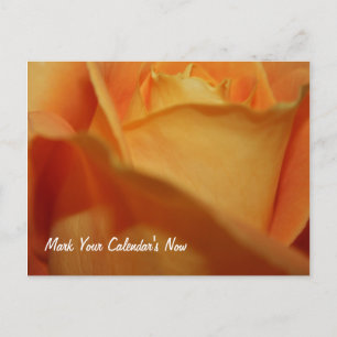 Manter O Cartão De Posto Data