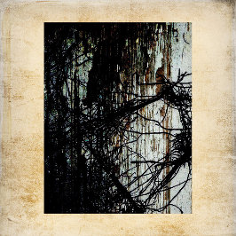 Manuscrito Abandonado