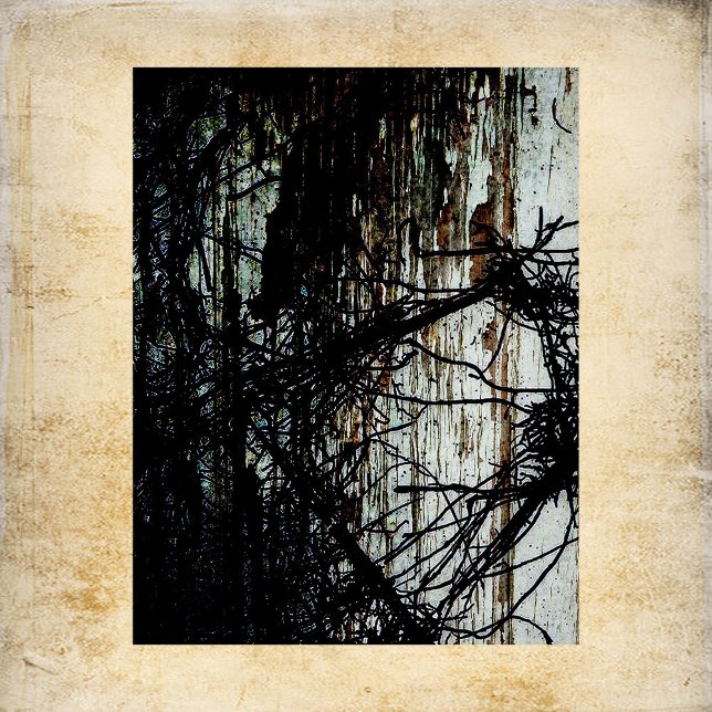 Manuscrito Abandonado (Criador carregado)