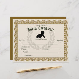 Manutenção do Certificado de Nascimento do Bebê de