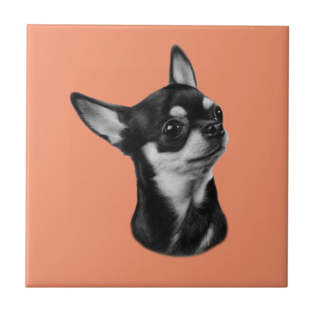 Mão pintada chihuahua por retrato de estimação (Frente)