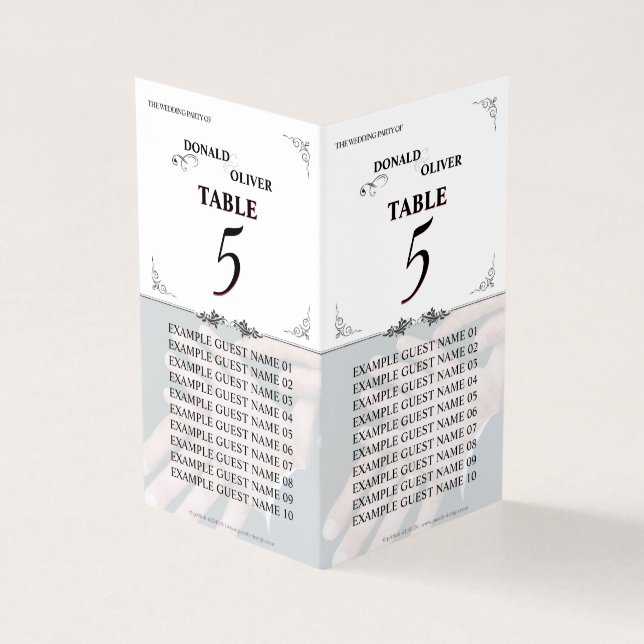 Mãos de um Casal de Casamento Gay com Anéis (Exterior)